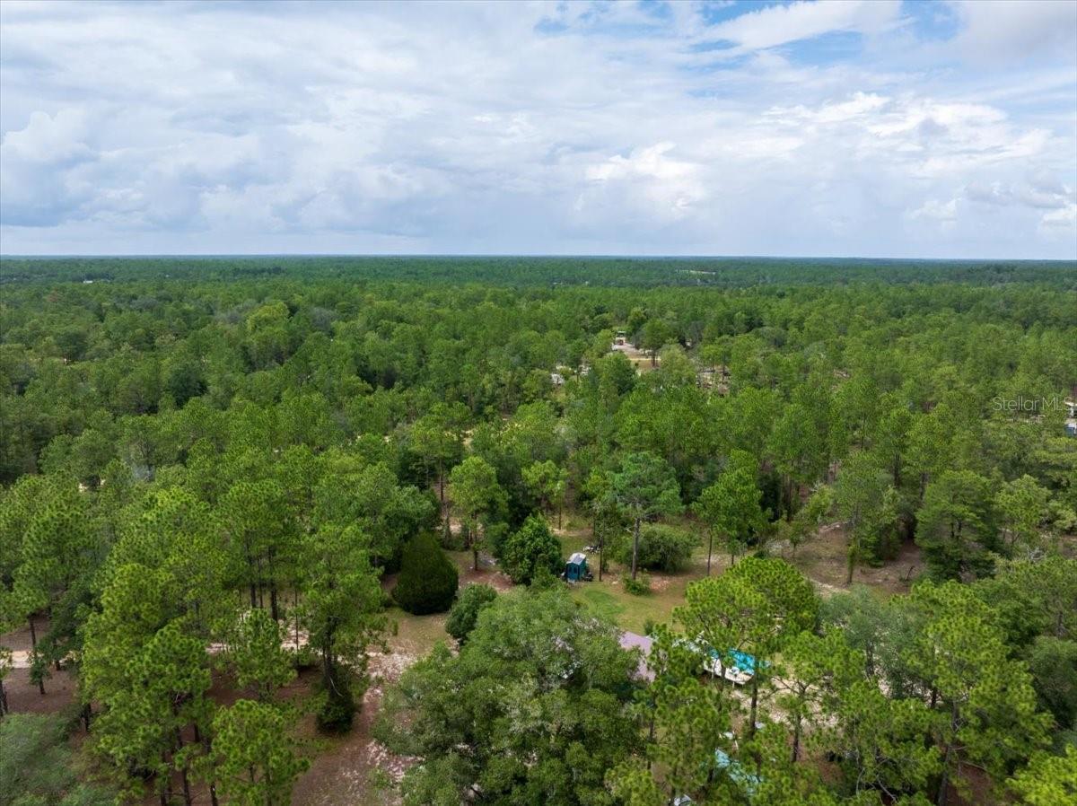 112 Birchdale Trl Property Photo 29
