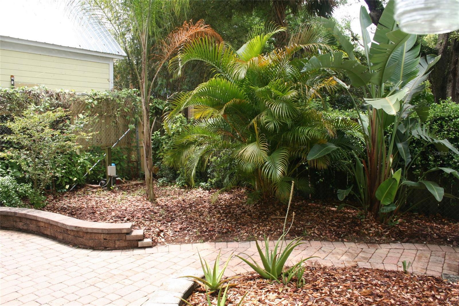 19 Lovett St Property Photo 21