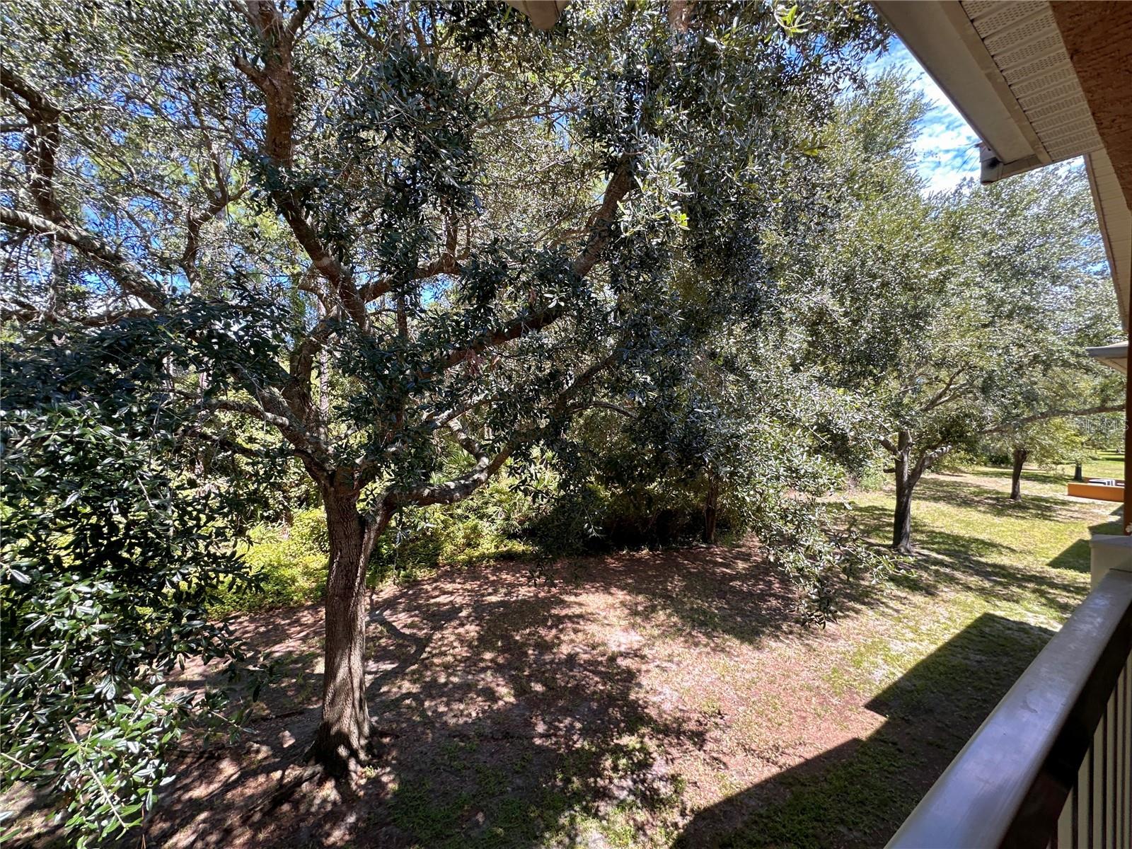 4600 E Moody Blvd #8n Property Photo 34