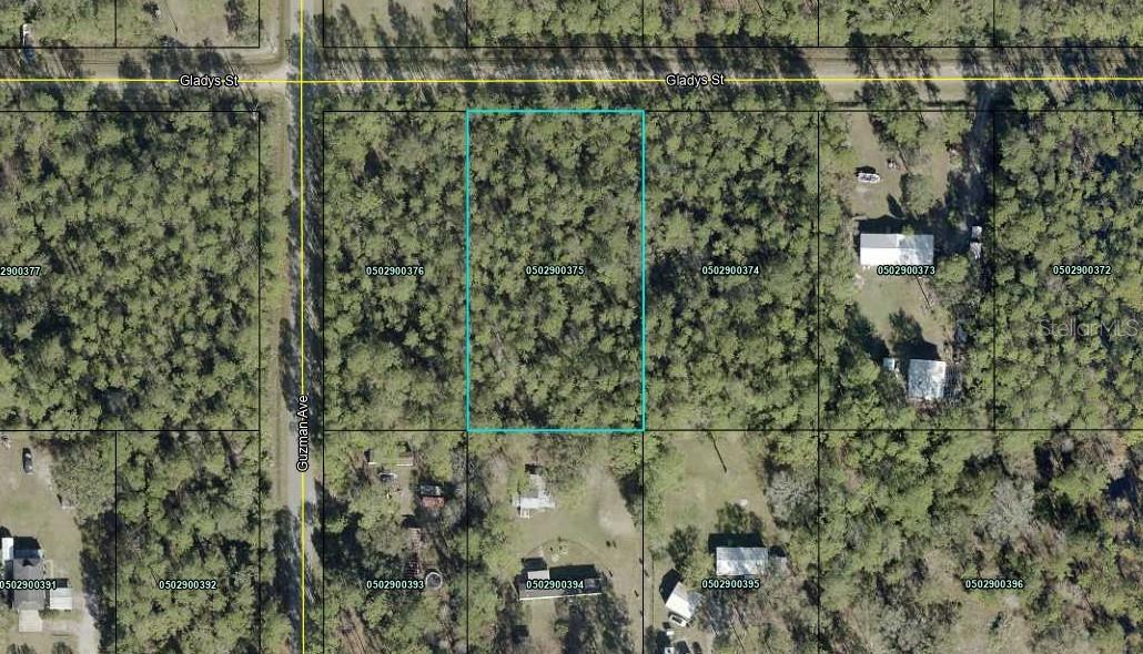 4265 Gladys St Property Photo 2