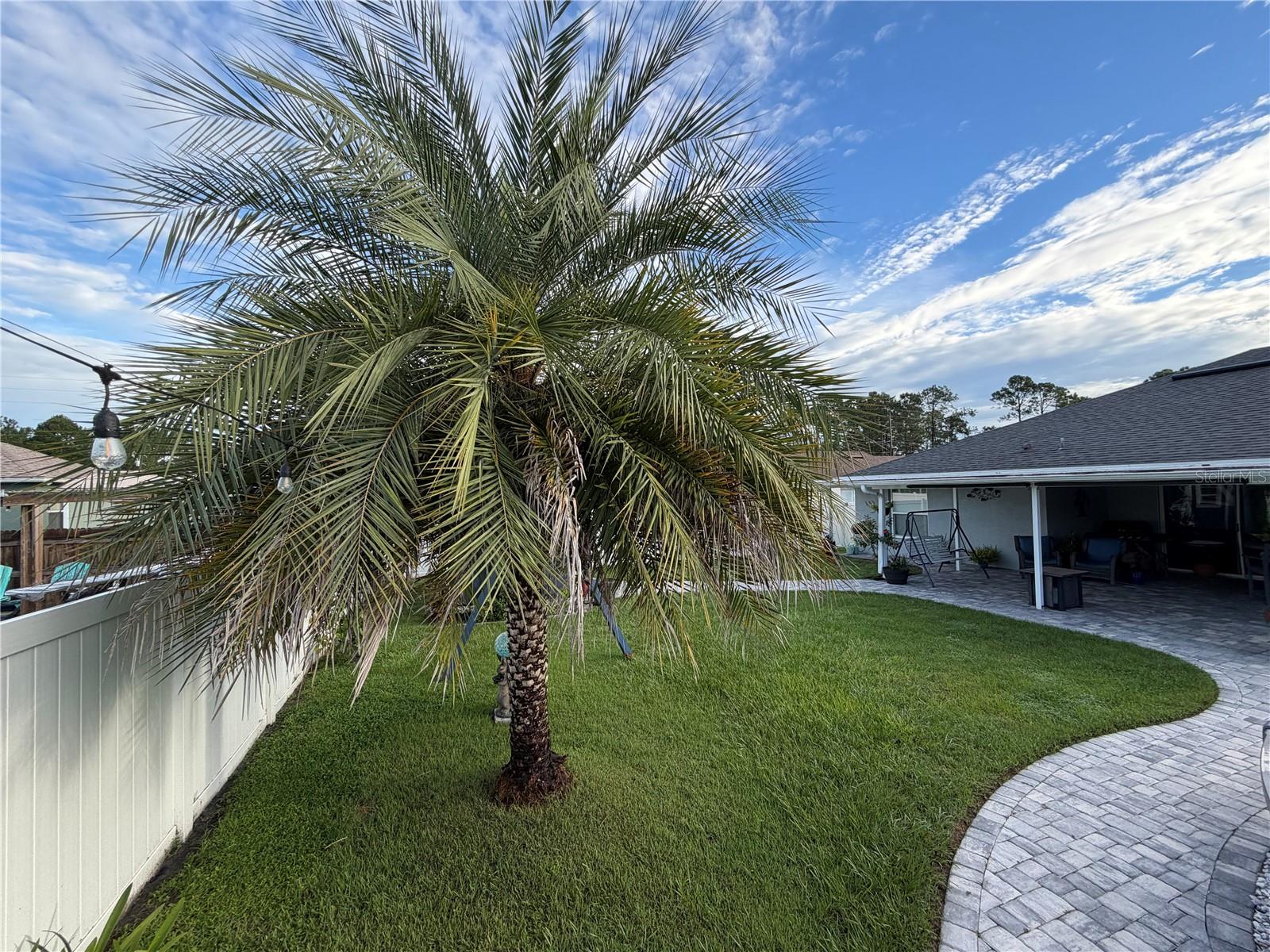 4 Lincoln Pl Property Photo 66