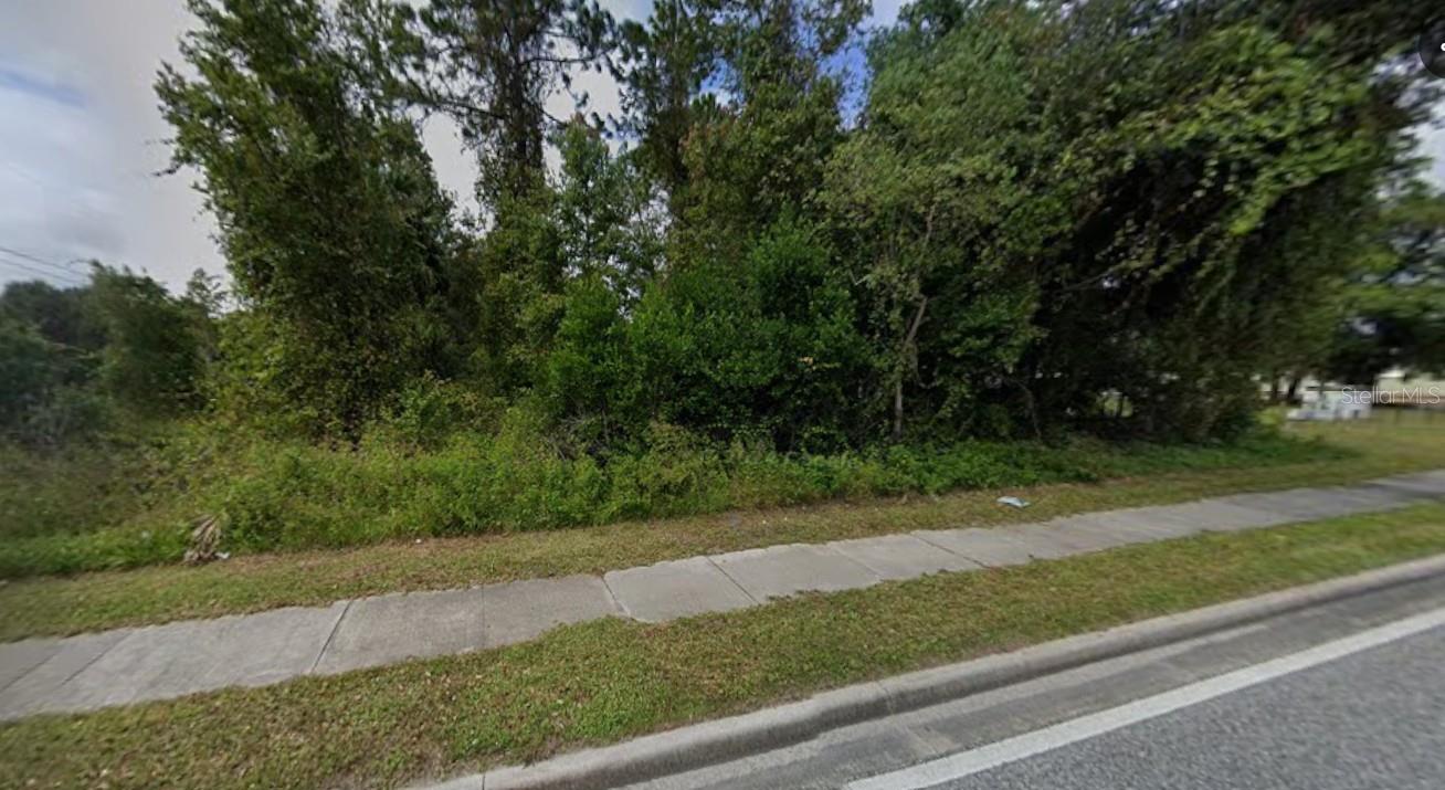 229 N Highway 17 Property Photo 3