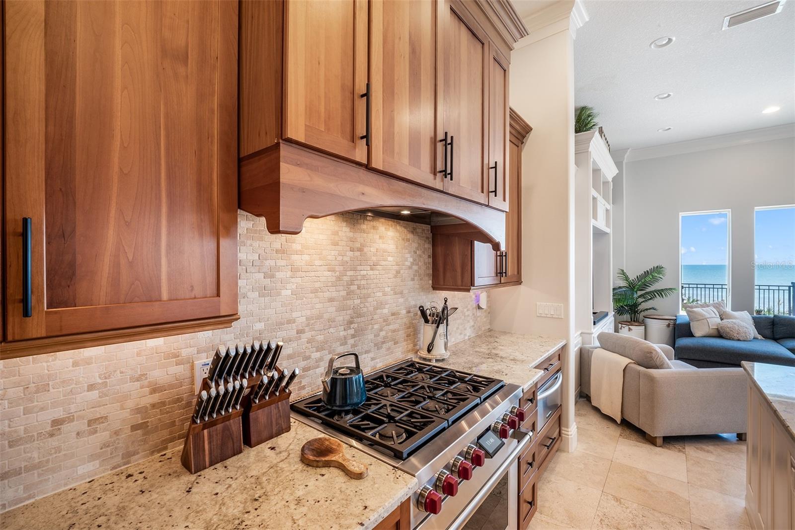 41 Calle Del Sur Property Photo 13
