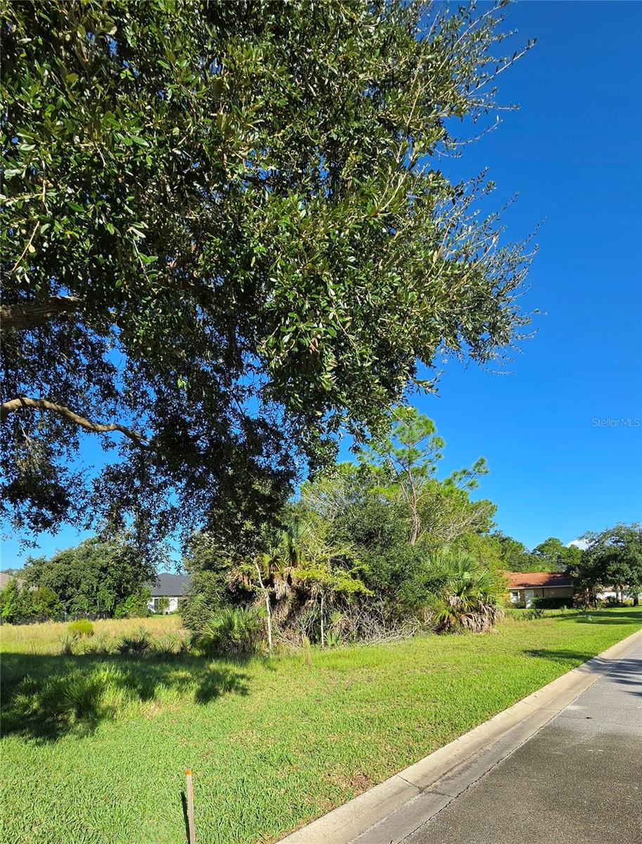 57 S Old Oak Dr Property Photo 3