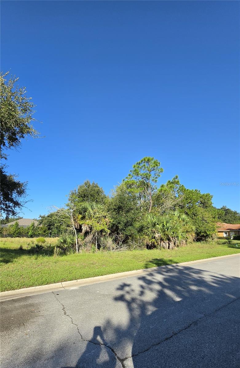 57 S Old Oak Dr Property Photo 4