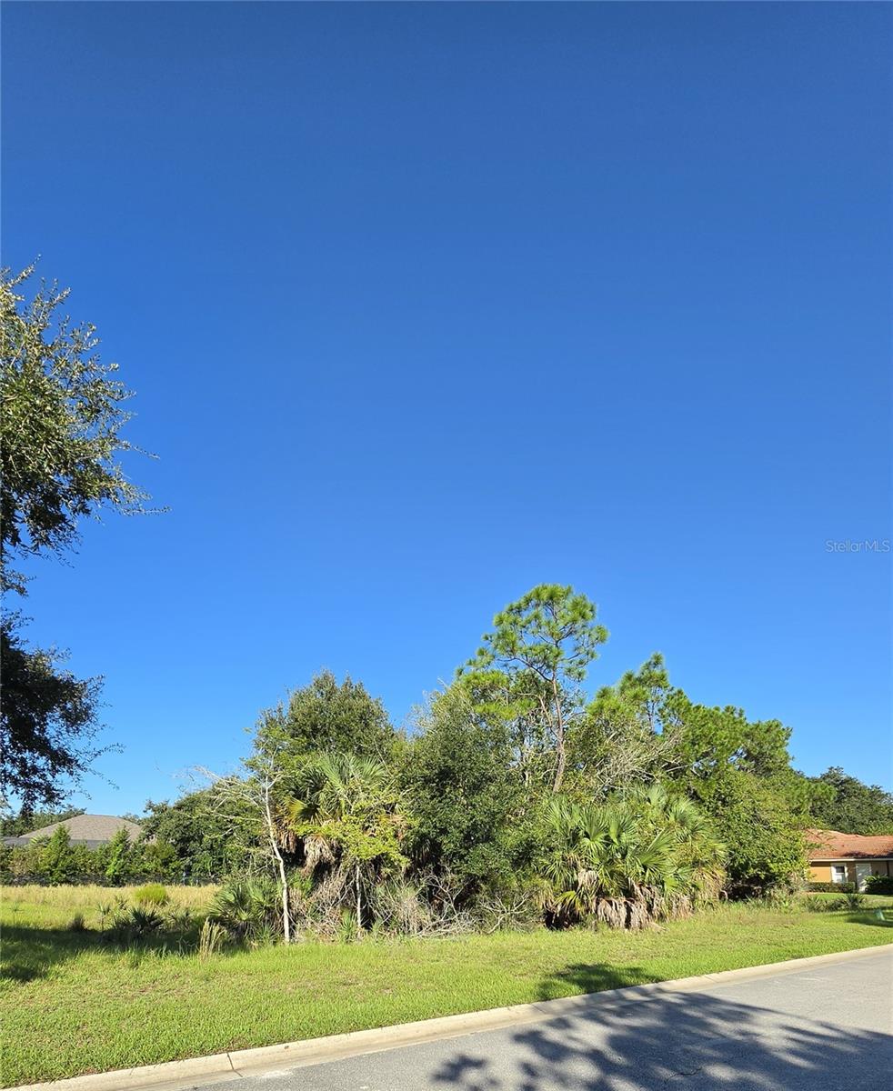 57 S Old Oak Dr Property Photo 9