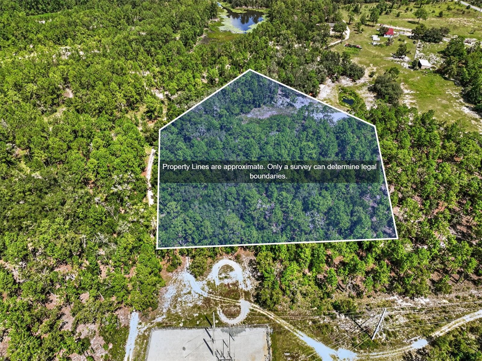 0 Lake Ray Road Property Photo 3