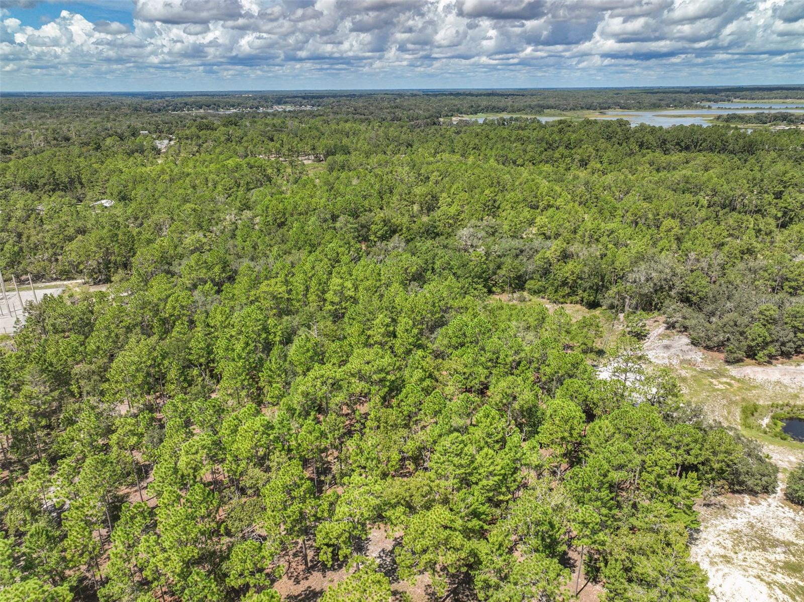 0 Lake Ray Road Property Photo 24