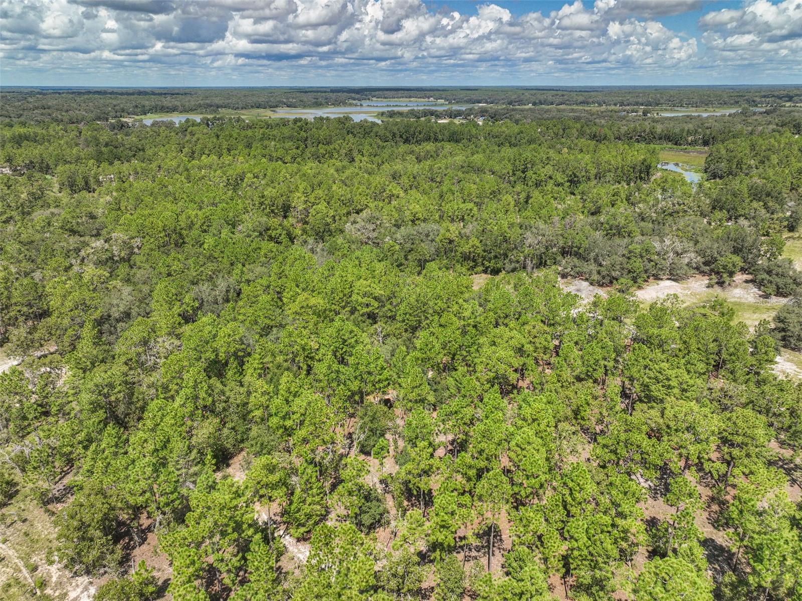0 Lake Ray Road Property Photo 25