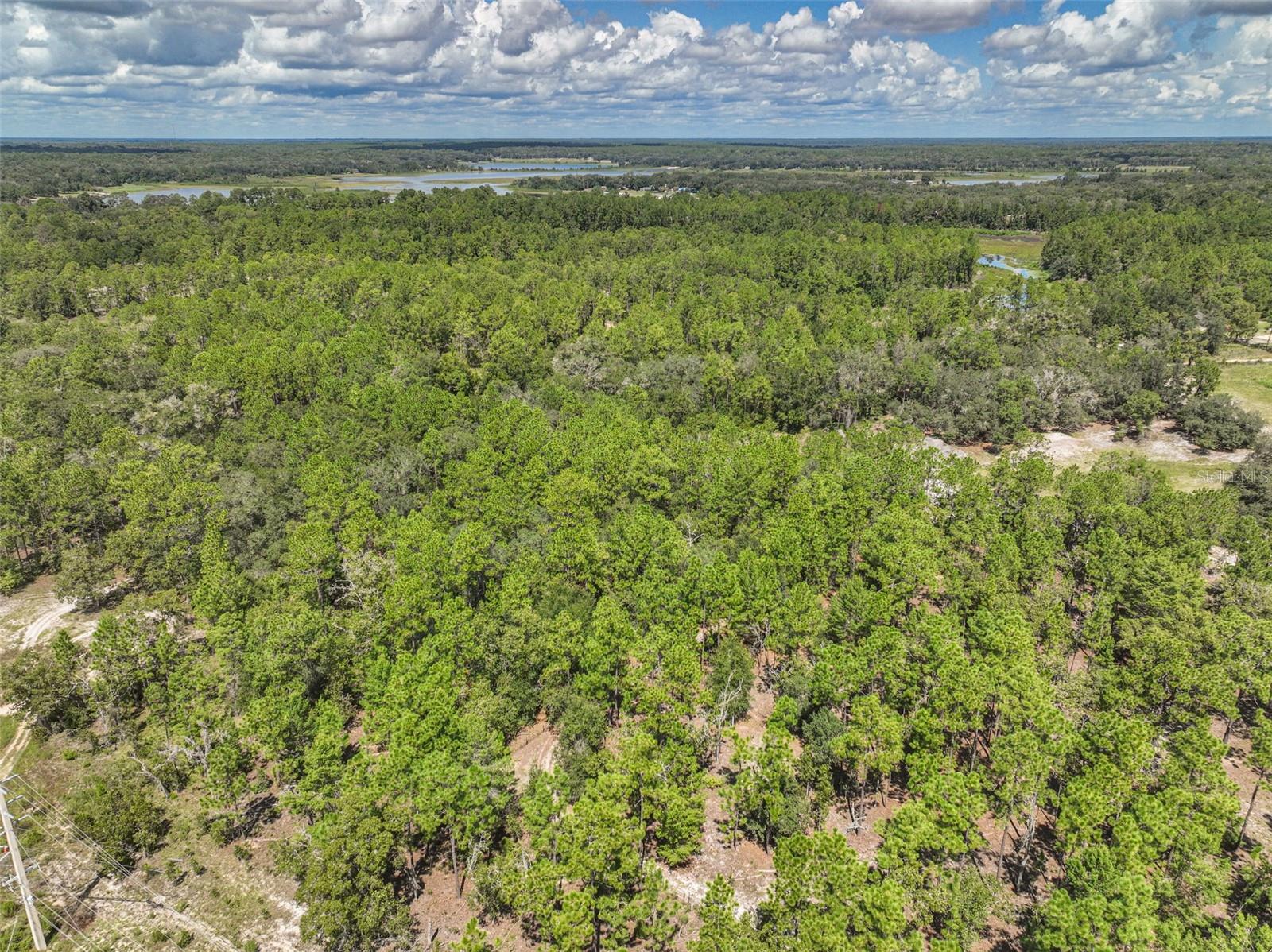 0 Lake Ray Road Property Photo 26