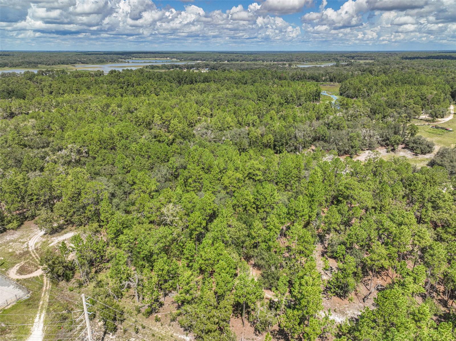 0 Lake Ray Road Property Photo 27