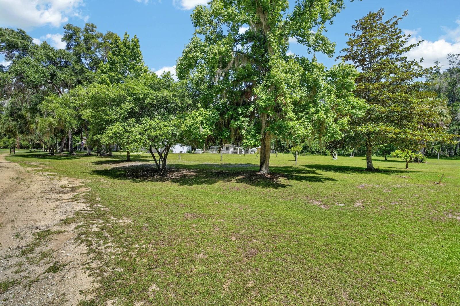 104 Woodcrest Ave Property Photo 45