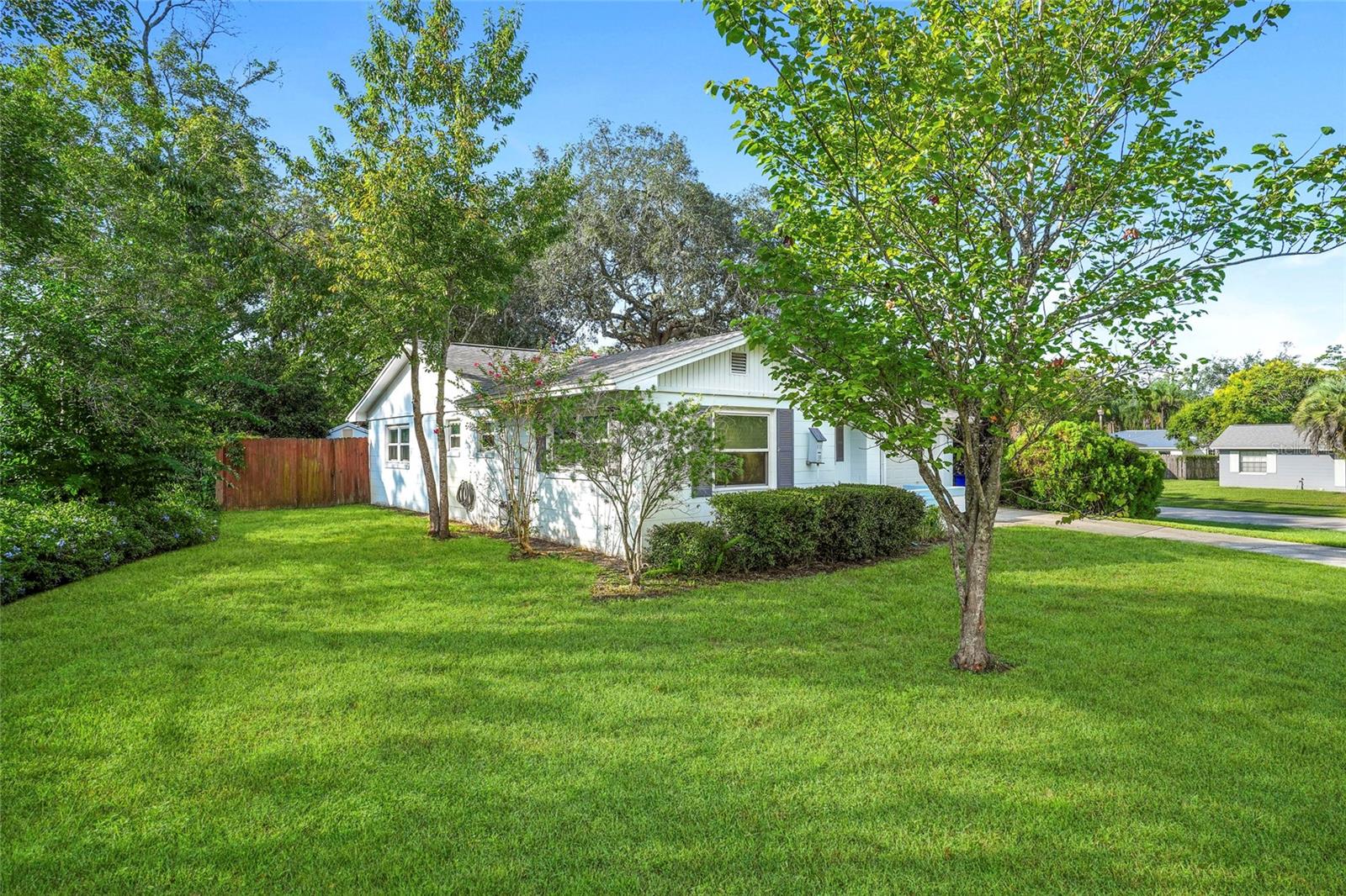 477 Sardina St Property Photo 4