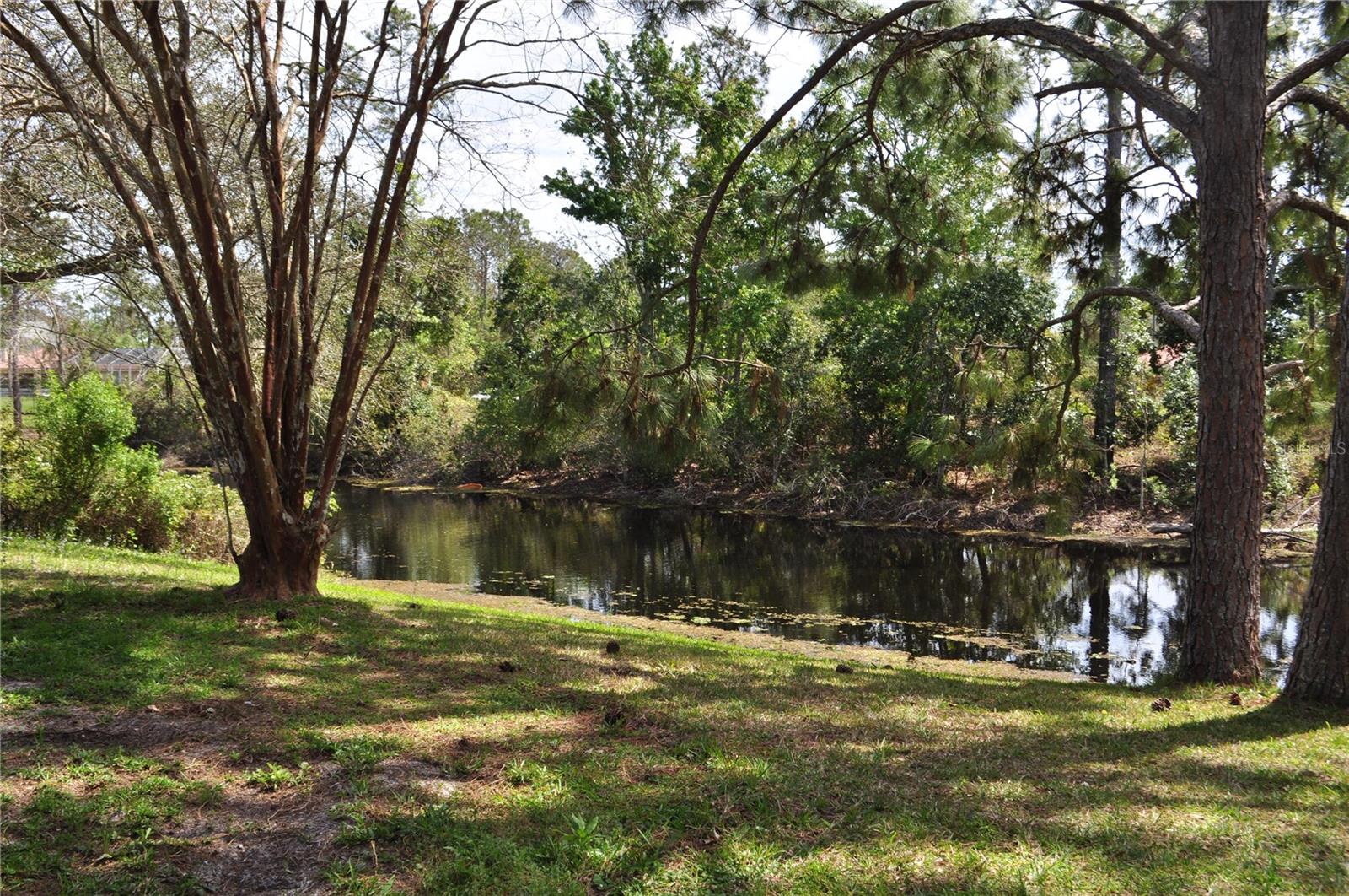 127 Persimmon Dr Property Photo 10