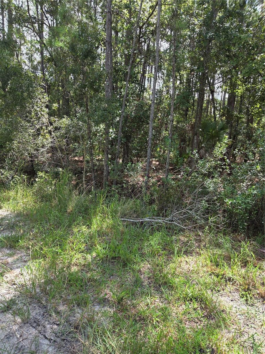 SW 140TH AVE Property Photo 1