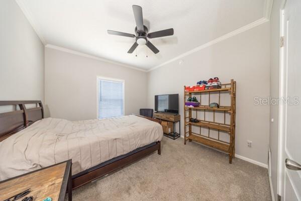1225 Hazelnut St Property Photo 19