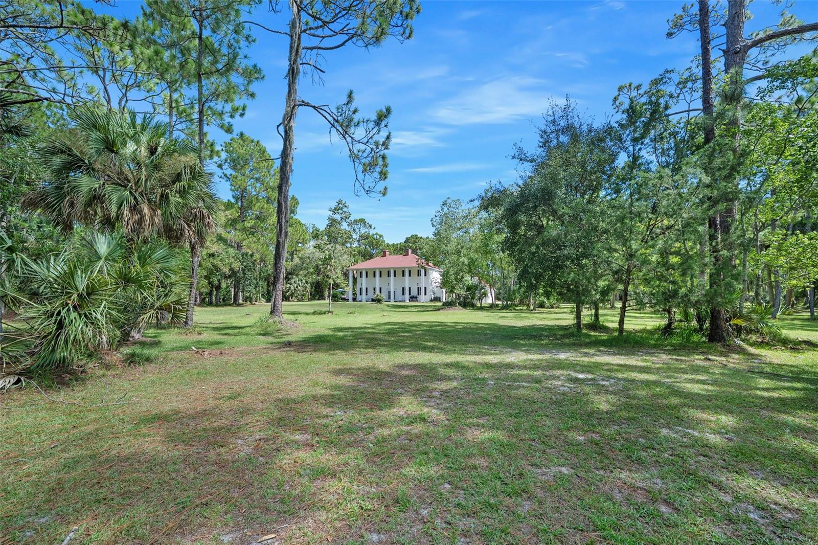 45 Winchester Rd Property Photo 2