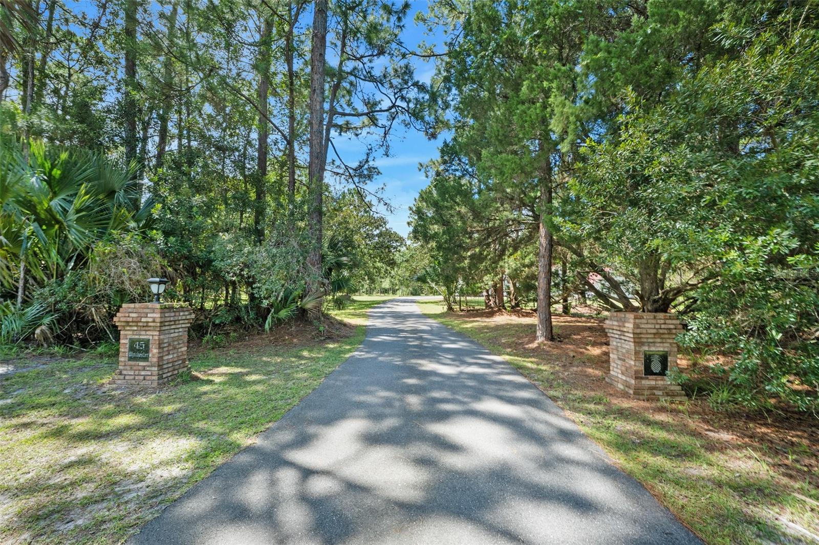 45 Winchester Rd Property Photo 6