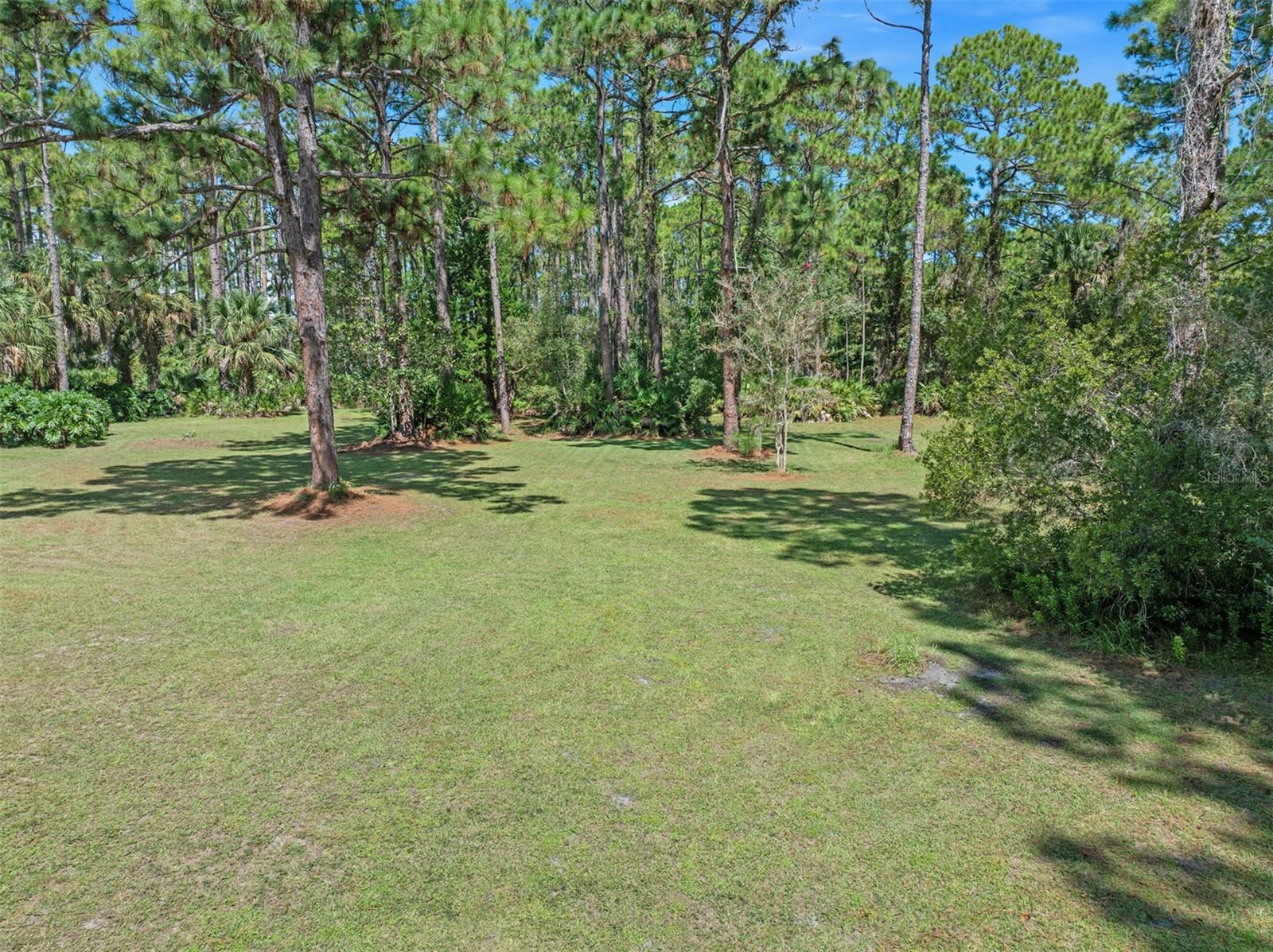 45 Winchester Rd Property Photo 7