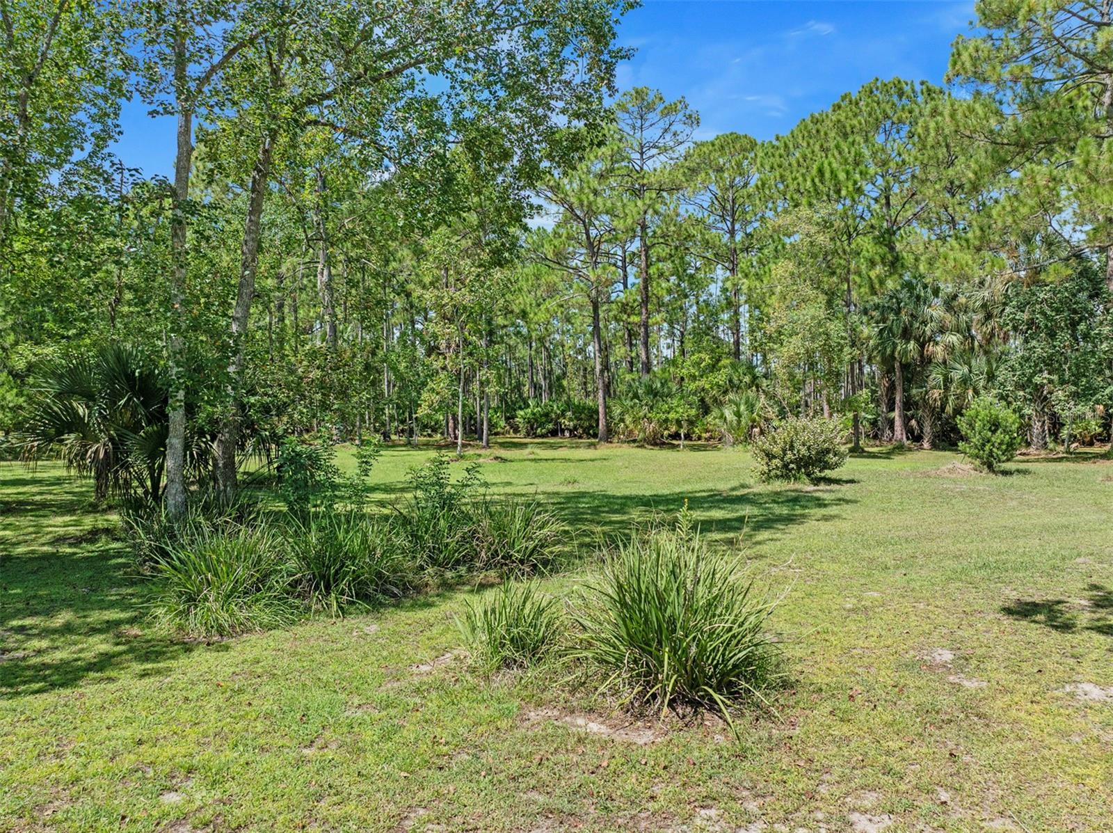45 Winchester Rd Property Photo 8