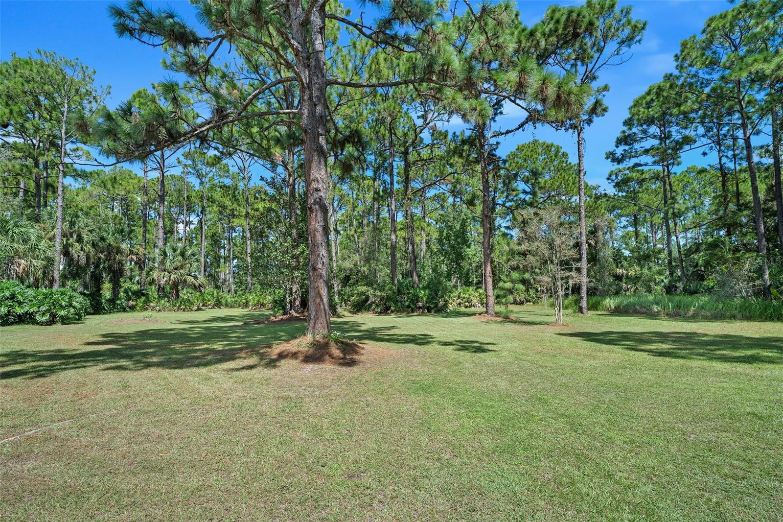 45 Winchester Rd Property Photo 44