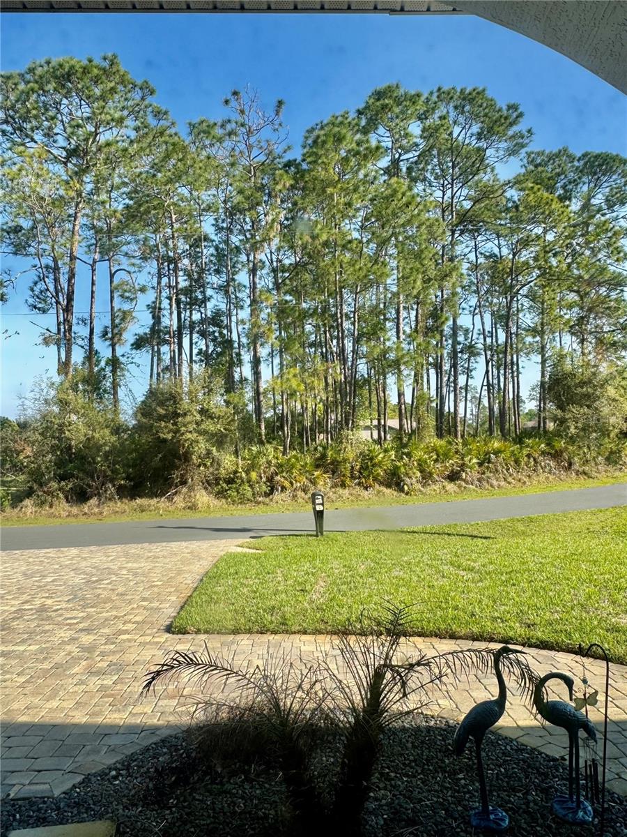 54 Woodworth Dr Property Photo 12