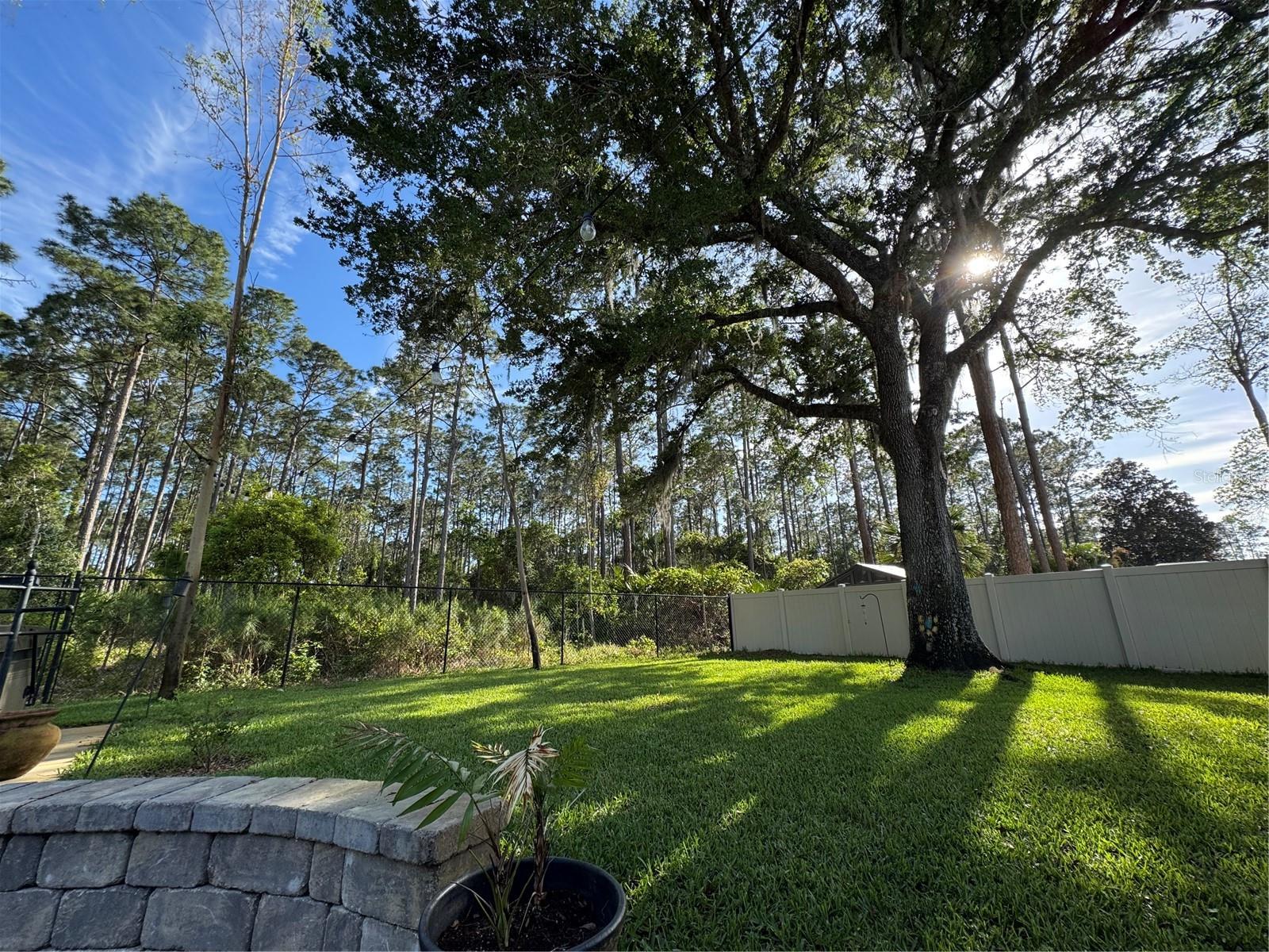 54 Woodworth Dr Property Photo 36