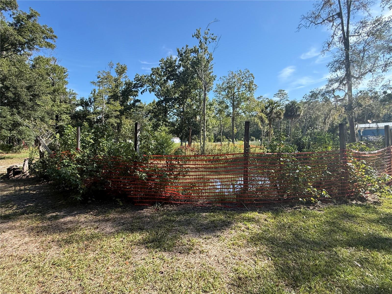 1844 Papaya St Property Photo 25