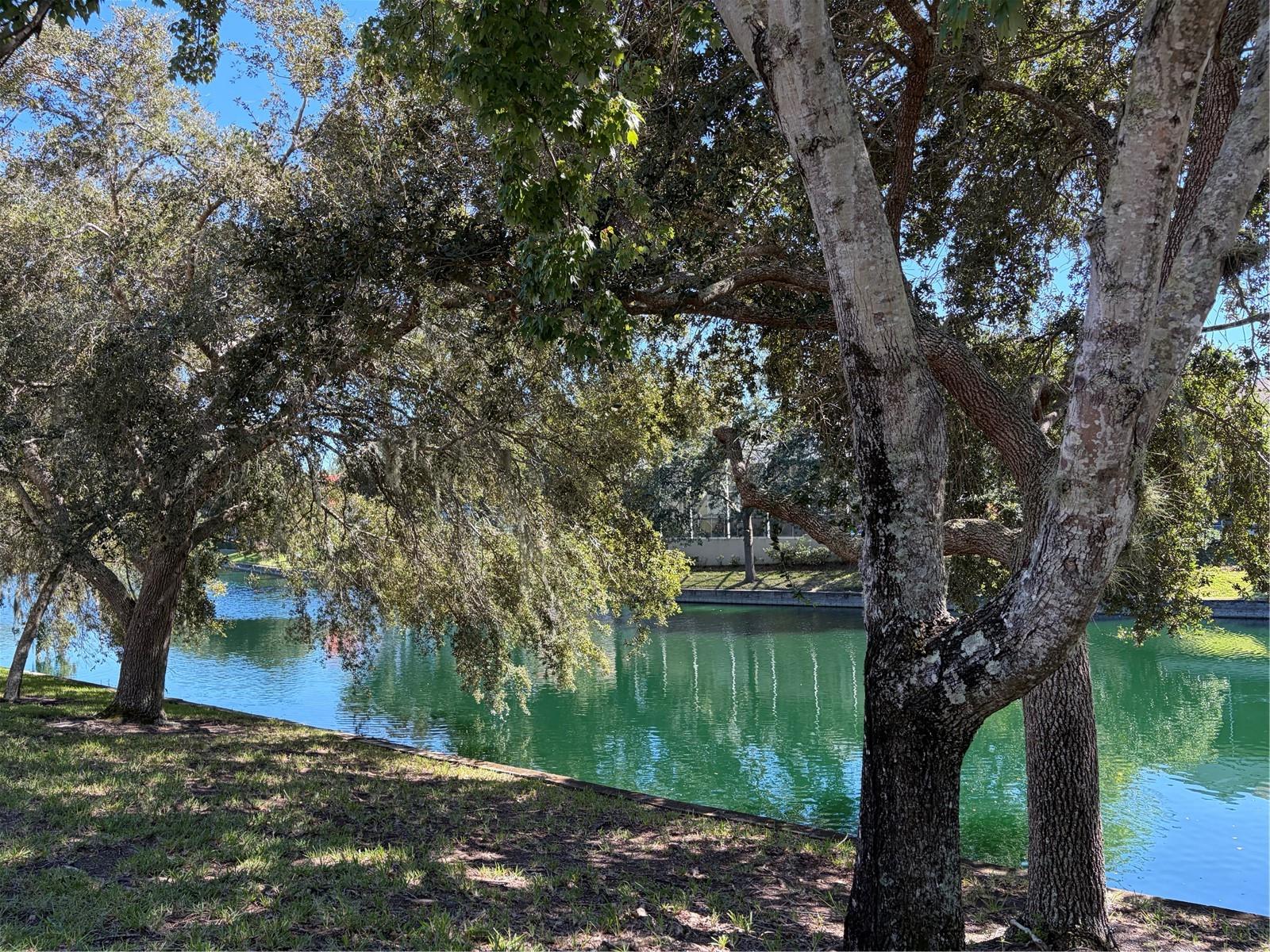 10 Lakeside Way N Property Photo 5