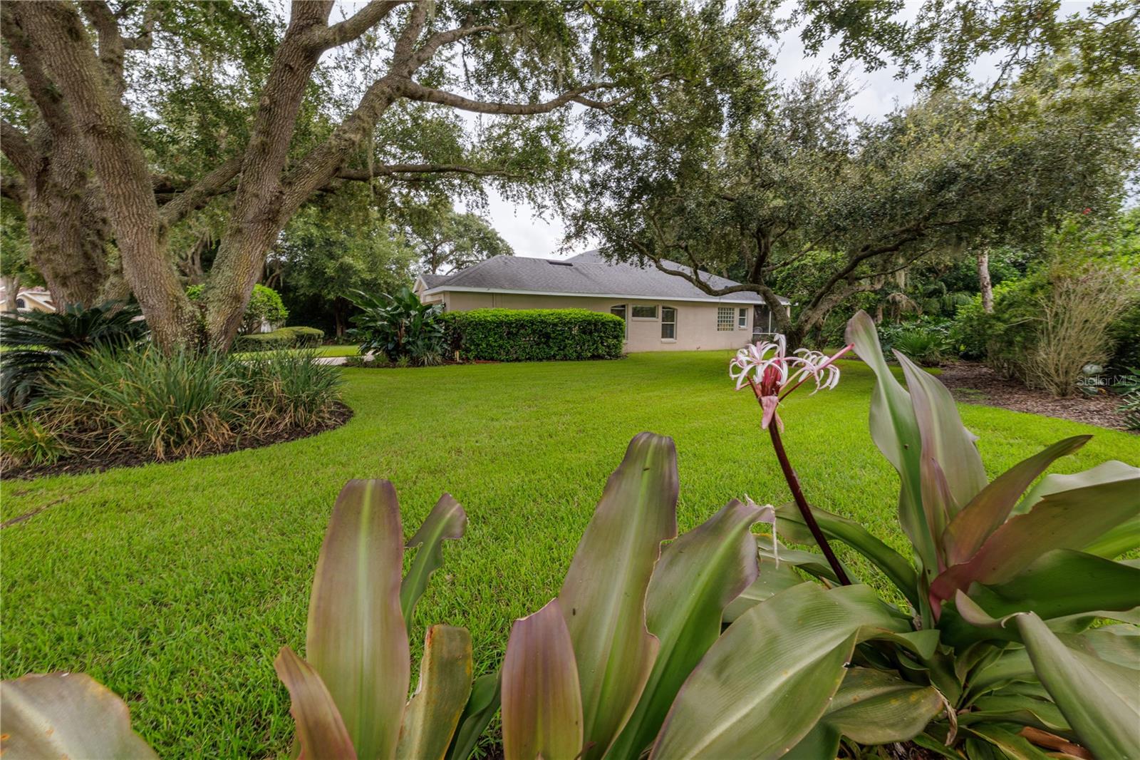 3626 Mallow Dr Property Photo 32