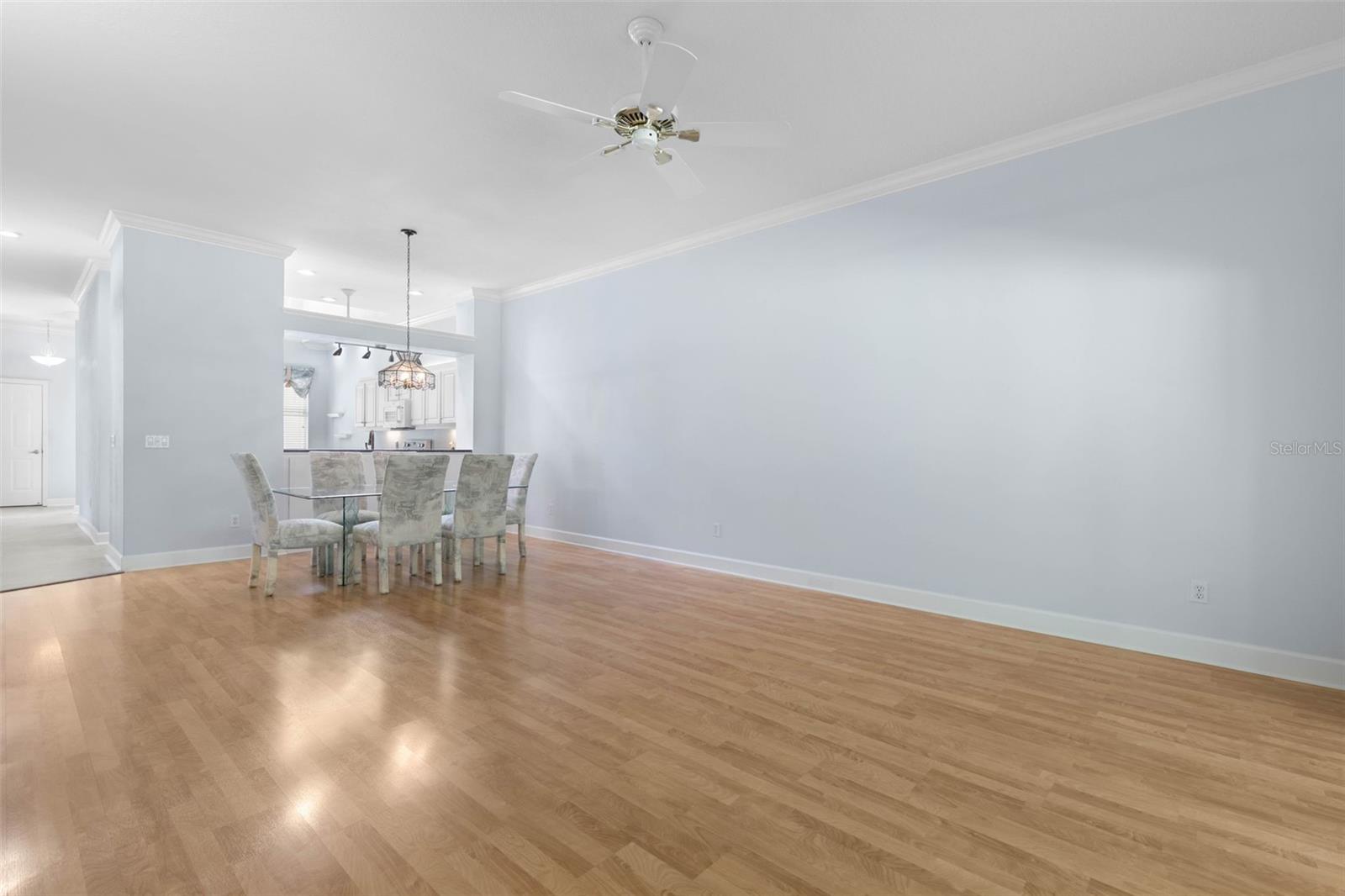 1128 Glengad Run Property Photo 11