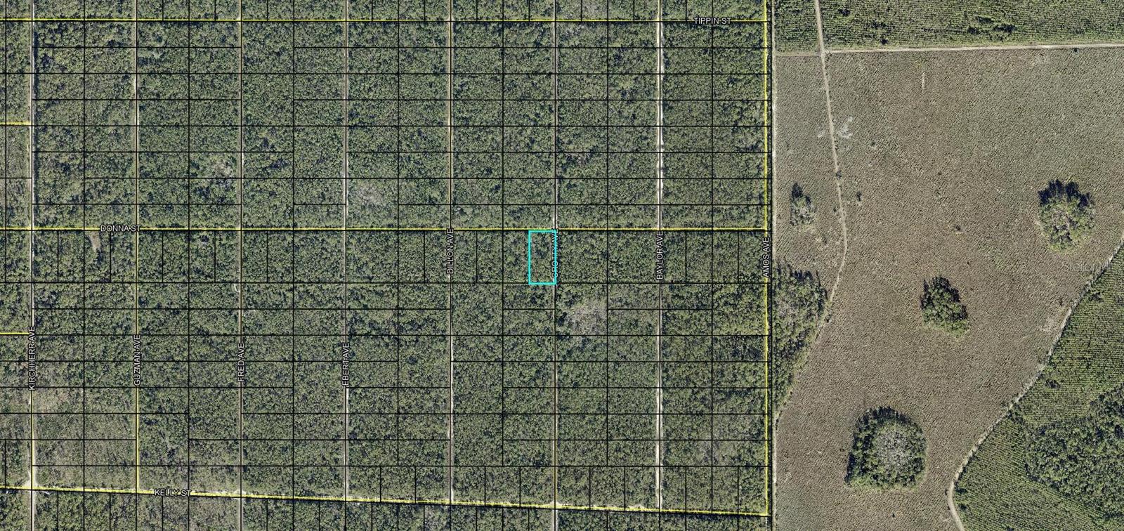 XXX DONNA ST Property Photo 1