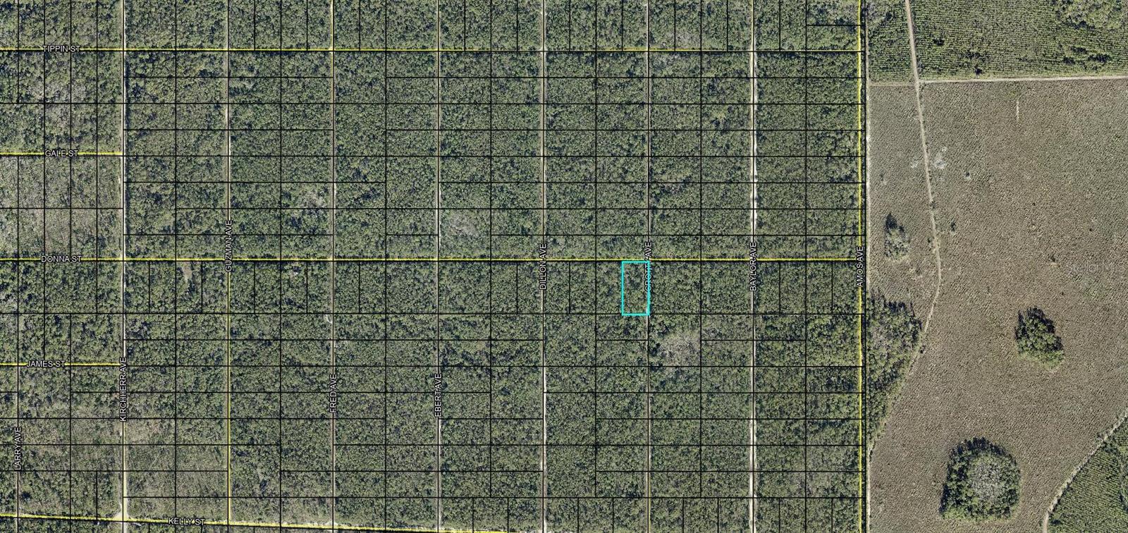 Xxx Donna St Property Photo 3