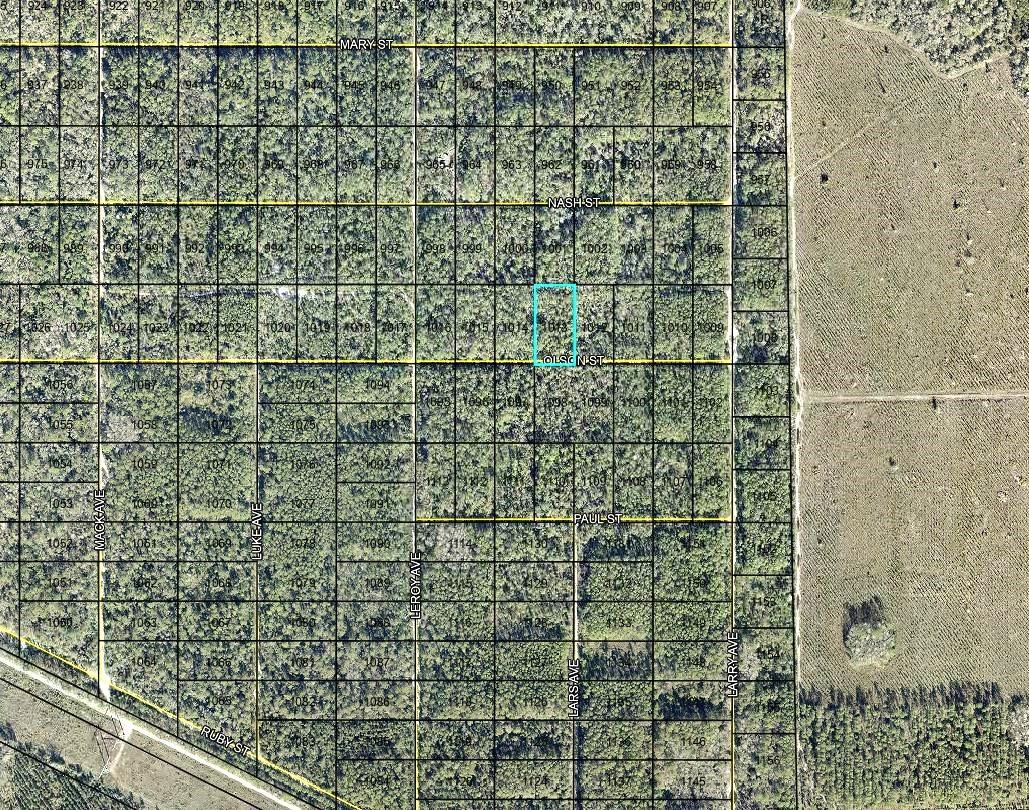 Lt 1013 Olson St Property Photo 1
