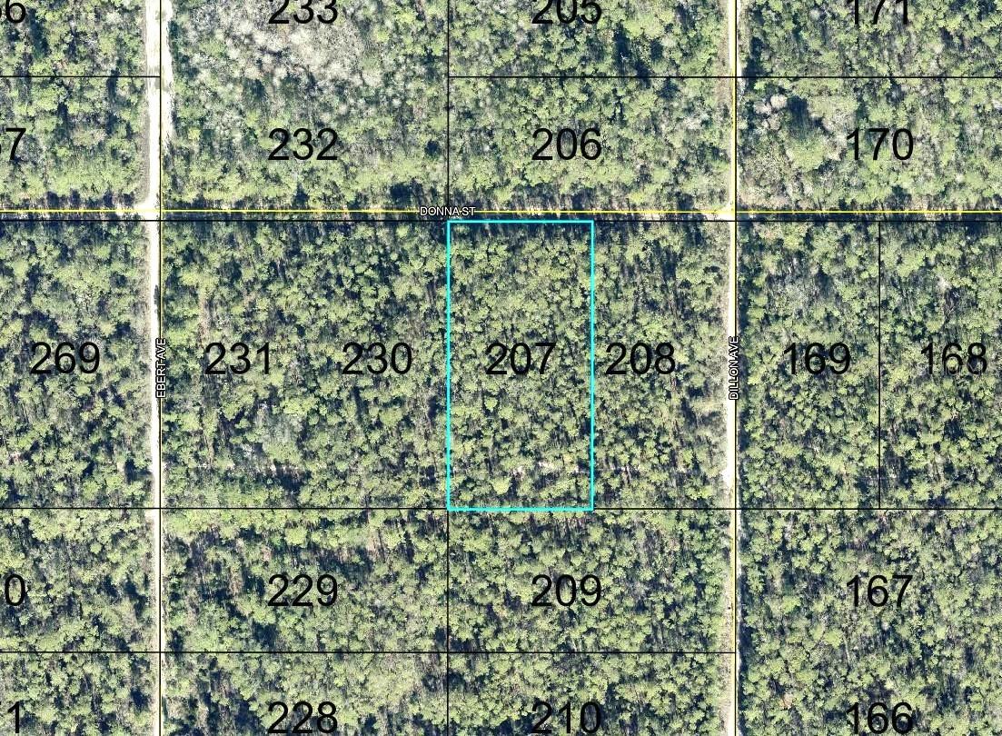 207 DONNA ST Property Photo 1