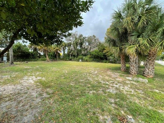 494 Collins St Property Photo 2