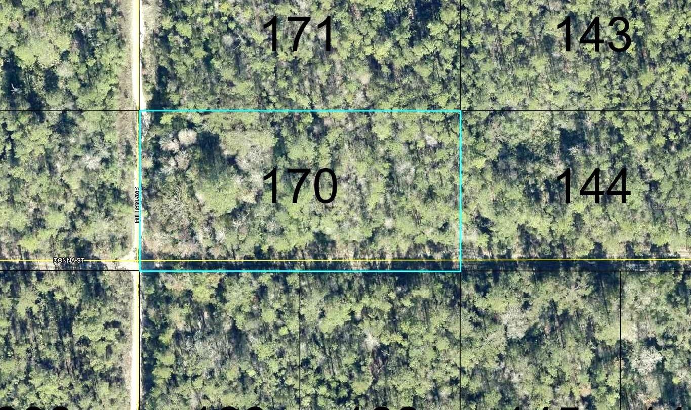 170 DILLLION AVE Property Photo 1