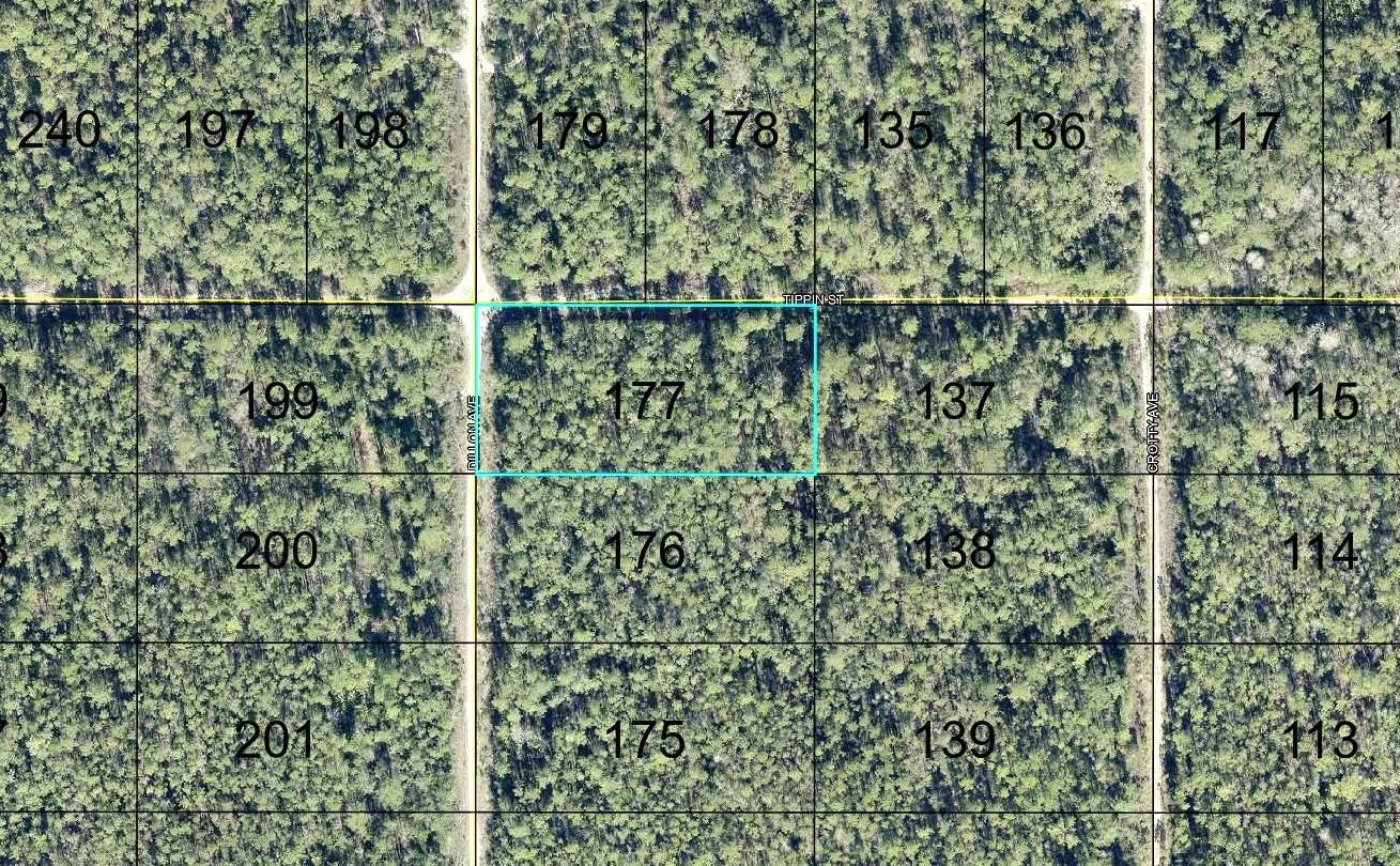 177 DILLON AVE Property Photo 1