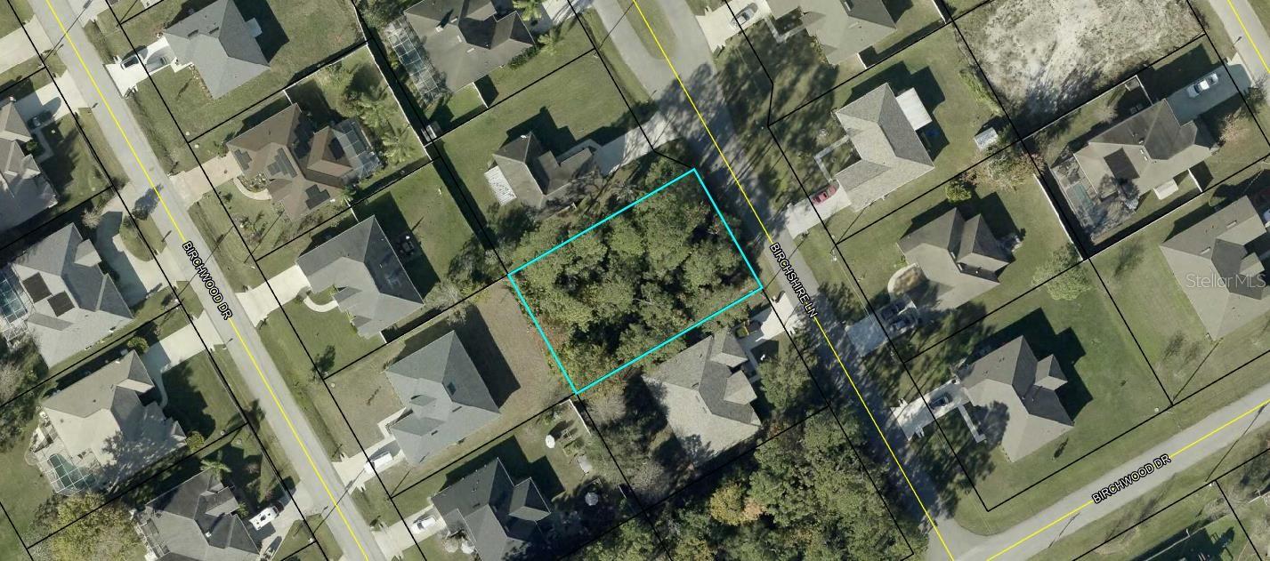 5 BIRCHSHIRE LN Property Photo 1