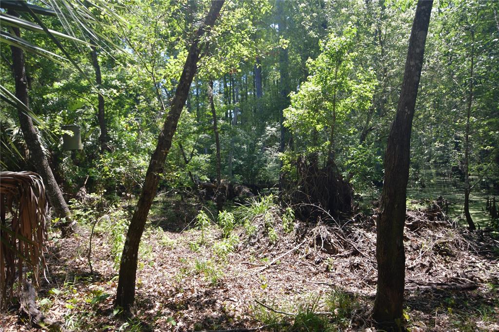 Sw 64th Ave Property Photo 7