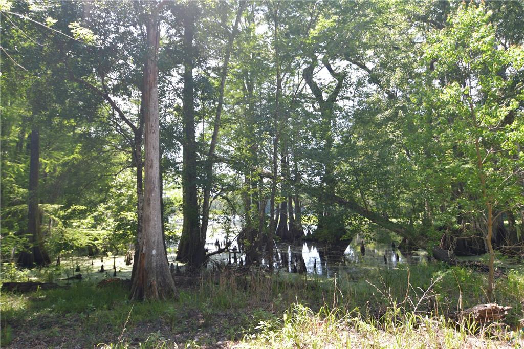 Sw 64th Ave Property Photo 9