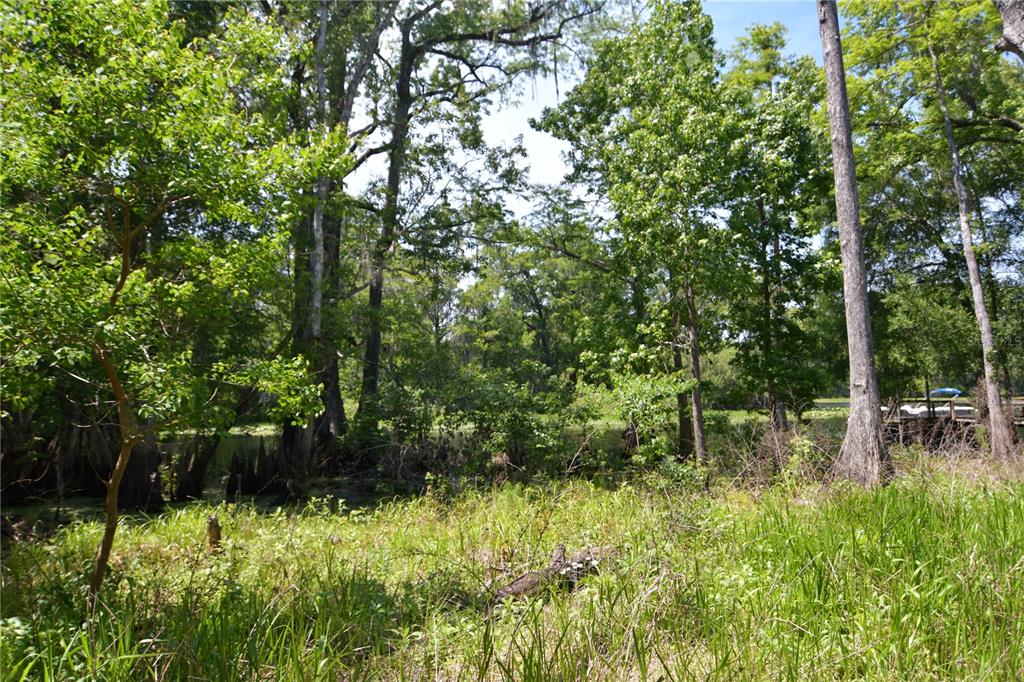 Sw 64th Ave Property Photo 10