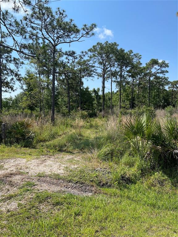 Atlas Drive Property Photo 1