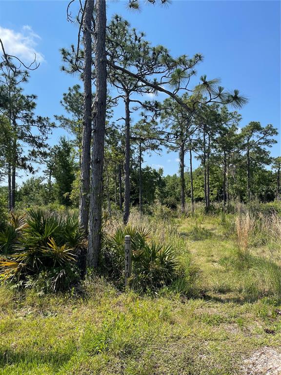 Atlas Drive Property Photo 2