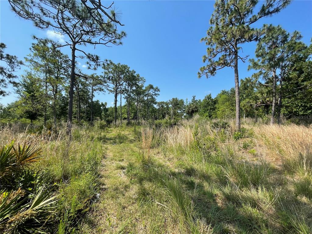 Atlas Drive Property Photo 10