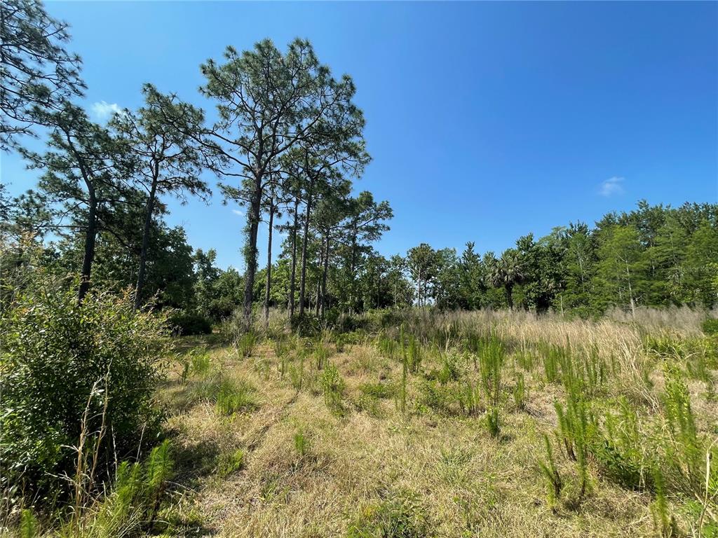 Atlas Drive Property Photo 11