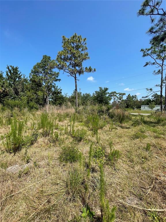 Atlas Drive Property Photo 14