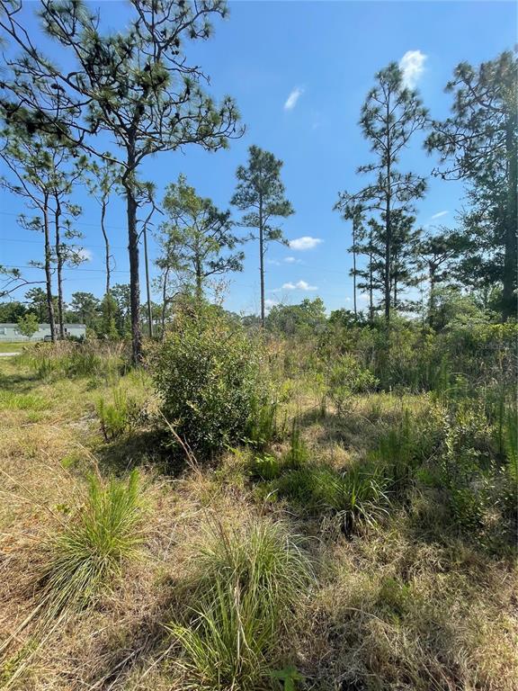 Atlas Drive Property Photo 15