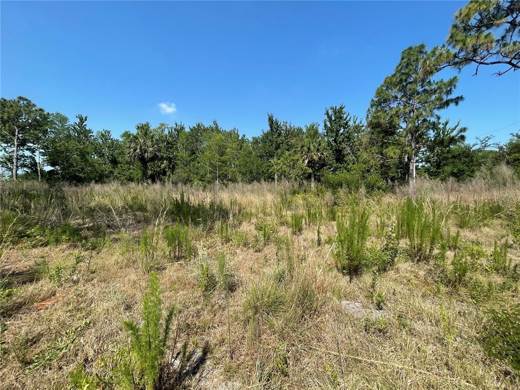 Atlas Drive Property Photo 16