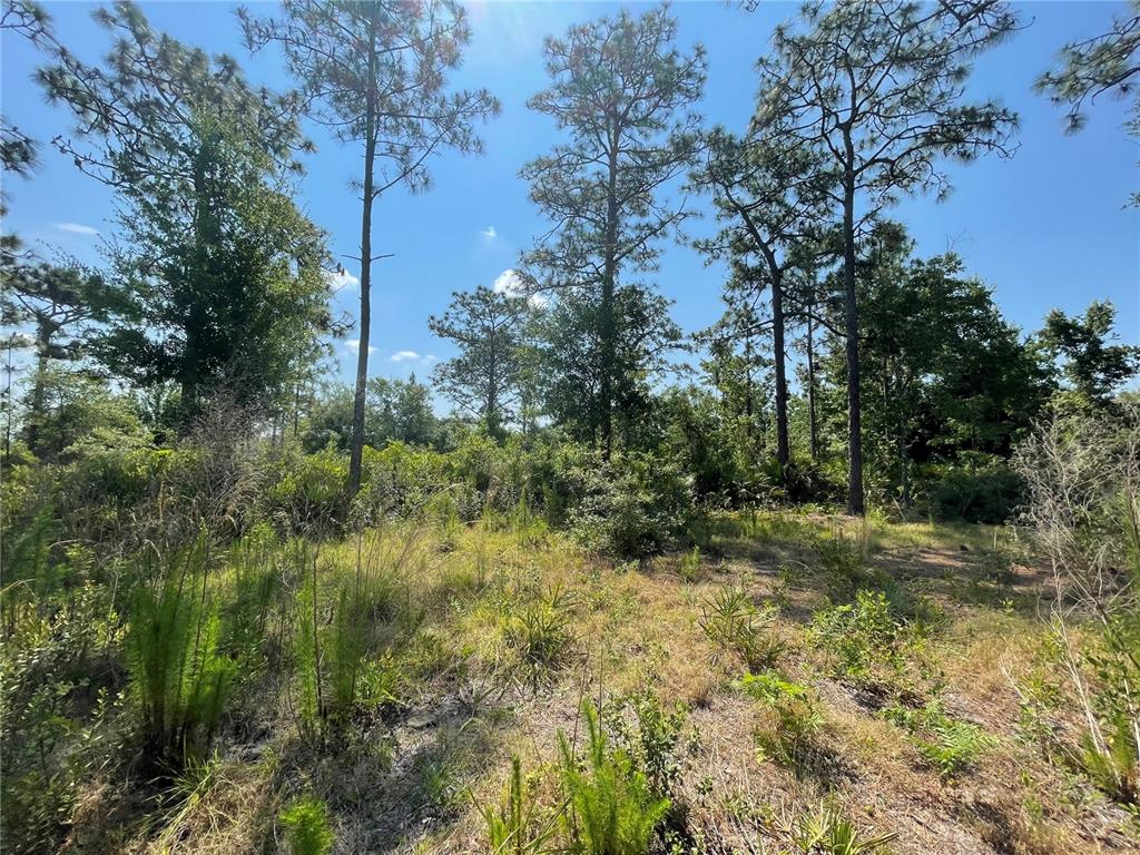 Atlas Drive Property Photo 17